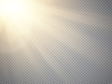 Sun Isolated On Transparent Background. Vector Illustration.