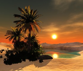 Wall Mural - Oasis Desert landscape with a pond, palm trees and stones