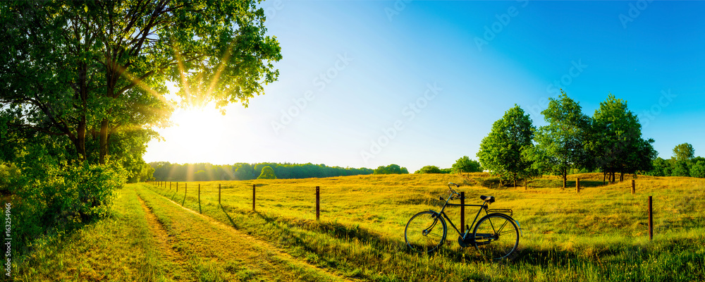 Plissee mit Motiv - Landschaft im Sommer mit Bäumen und Wiesen bei strahlendem Sonnenschein