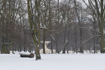 Park Warsaw 2