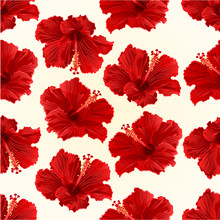 Seamless Texture Red Hibiscus Simple Tropical Flower  Vintage  Vector Illustration Editable Hand Draw