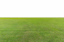 Green Lawn Isolated