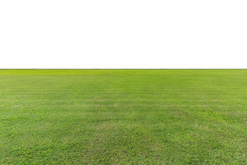 green lawn isolated