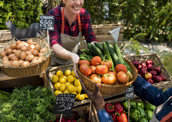 Wall Mural - Greengrocer selling organic fresh agricultural product at farmer market