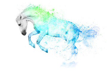 Wall Mural - White horse in blue and green paint stains