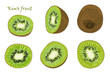 Set of hand-drawn kiwi fruit, single, peeled and sliced fruits. realistic drawing, isolated on white background
