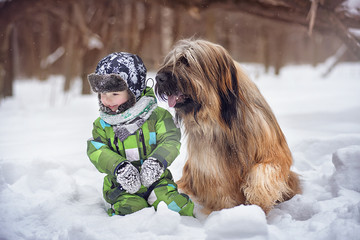 Wall Mural - Little boy and dog breed Briard sitting in the snow on a winter day