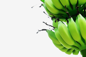 Wall Mural - Cultivated banana