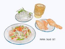 Papaya Salad Or Som-tum With Grilled Chicken And Sticky Rice .hand Drawn Water Color Sketch Vector.