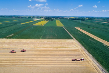 Wall Mural - Combine harvesters working in golden wheat field