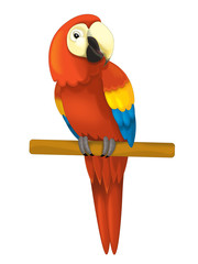 Wall Mural - cartoon isolated animal - parrot sitting looking and resting - illustration for children