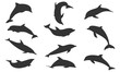 Silhouette dolphin set