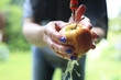 Ekologiczne owoce prosto z drzewa. Kobieta myje jabłko pod bieżącą wodą.