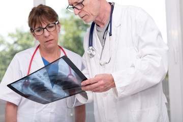 Wall Mural - Two doctors examining x-ray report