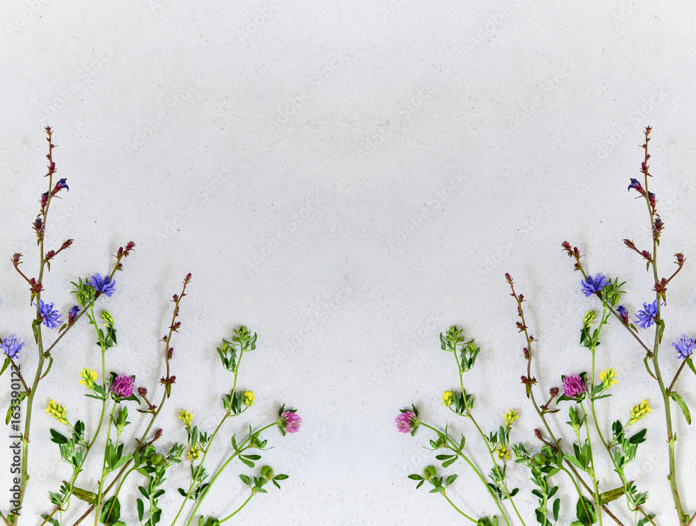 Background with wildflowers - obrazy, fototapety, plakaty 