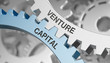 © Coloures-Pic - Venture Capital / Zahnrad