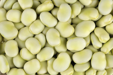 Wall Mural - Broad beans