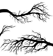 Black branch set