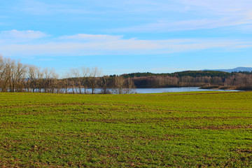 Landscape of fresh grass