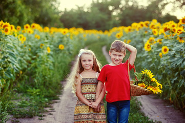 Wall Mural - Two children walk and play near the field with sunflowers . Walk of friends in the countryside