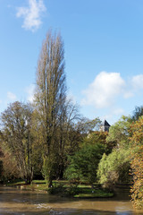 Poster - Le Loing rivière  du parc régional naturel du Gâtinais français.