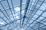 Fototapeta Konie - glass ceiling of contemporary greenhouse. steel roof trusses details.
