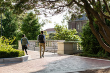 Male And Female Students Walking On Campus In Gold Light With Trees