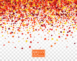 fall festive seamless background with scattered maple leaves in traditional autumn colors - orange, 
