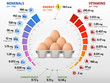 Vitamins and minerals of chicken egg. Infographics about nutrients in raw egg. Best vector illustration for bird eggs, food, poultry farming, vitamins, health food, nutrients, diet, etc