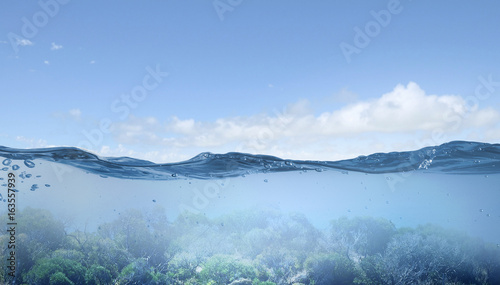 Fotomural Ocean underwater view . Mixed media