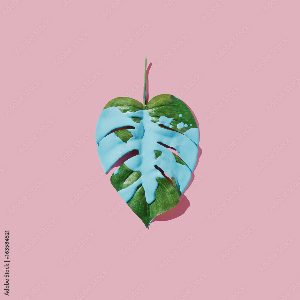 Wall Murals Blue Paint Splatter Over Tropical Leaf On Pink Pastel