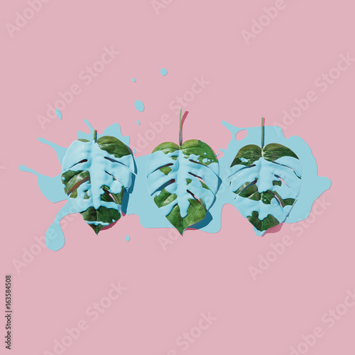 niebieska-farba-splatter-nad-tropikalnych-lisci-na-rozowym-tle-pastelowych-plaskie-lay-minimalna-koncepcja