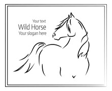 Hand Drawn Vector Illustration Of Wild Horse