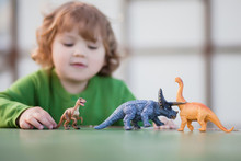 Toddler Kid Playing With A Toy Dinosaur