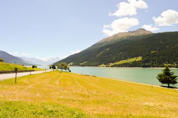 Wall Mural - View of Lake Resia