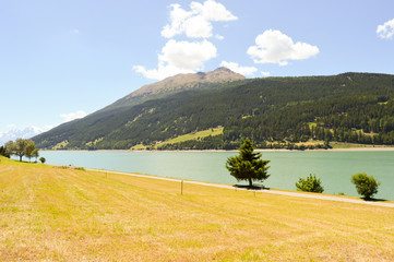 Wall Mural - View of Lake Resia