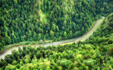 Canvas Print - Green forest with river, aerial view as background.