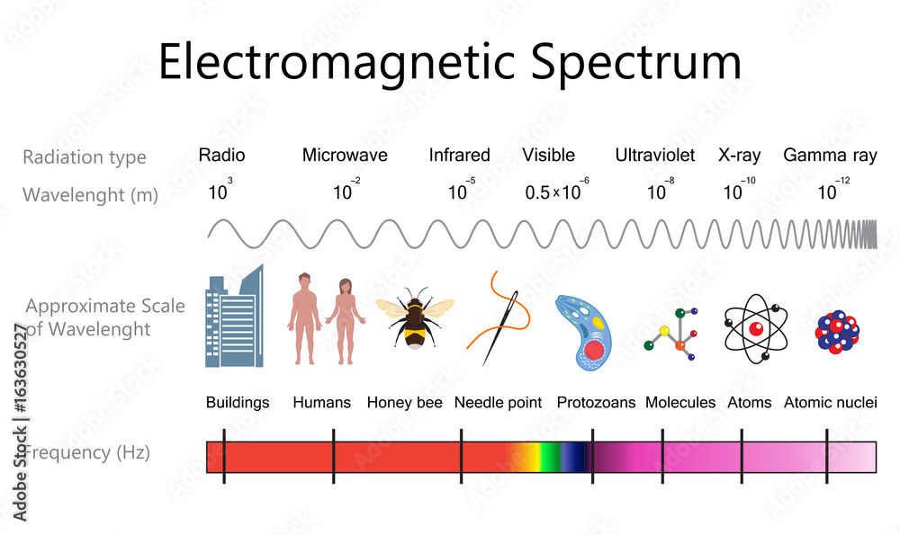 Electromagnetic Spectrum Diagram Stock Vector | Adobe Stock