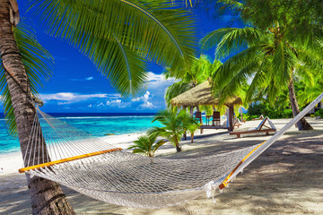 Wall Mural - hammock between palm trees on tropical beach of rarotonga, cook islands, south pacific