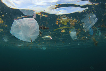 Plastic carrier bags and other garbage pollution in ocean