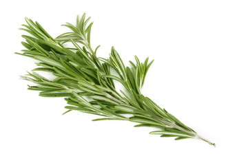 rosemary isolated