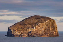 The Bass Rock Island In The Firth Of Forth In The East Of Scotland. This Tiny Rock At Summertime Is Home Of To A Largest Colony Of Gannets On Earth. 