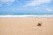 © nutraveller - Hermit Crab running on the brown sand beach with little wave background