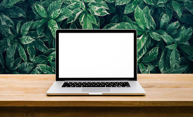 Wall Mural - Modern computer,laptop with blank screen on table with green leaf background