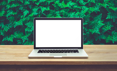 Wall Mural - Modern computer,laptop with blank screen on table with green leaf background
