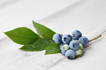 Fresh blueberry branch close up on white wooden background