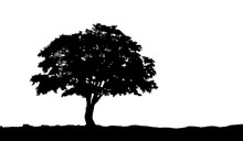 Tree On The Hill Silhouette On An Isolated Background. Vector Illustration Eps10.