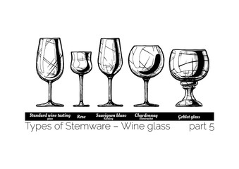 illustration of stemware types