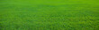 Leinwandbild Motiv Background of beautiful green grass pattern