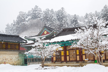 Sticker - Beautiful winter landscape with snow covered trees and asian temple Odaesan Woljeongsa in Pyeongchang, Korea